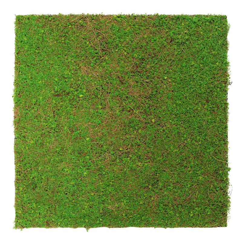 Pannello acustico modulare JANGAL 520 x 520 x 50 mm, parete vegetale in fibra di cocco naturale verde chiaro