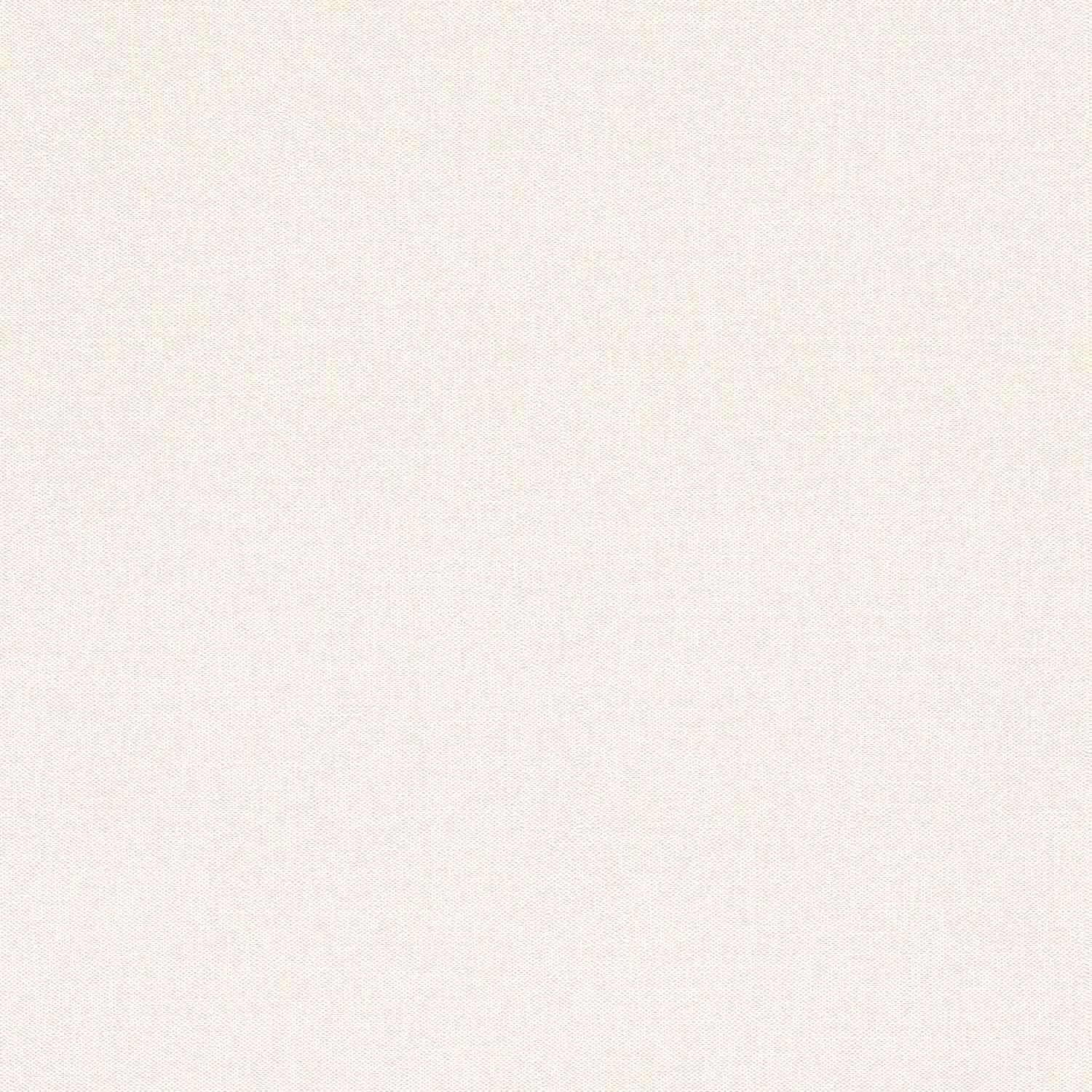 Rasch Color Your Life 633368 Carta da parati in tessuto non tessuto Tinta unita 0,53 x 10,05 m Bianco