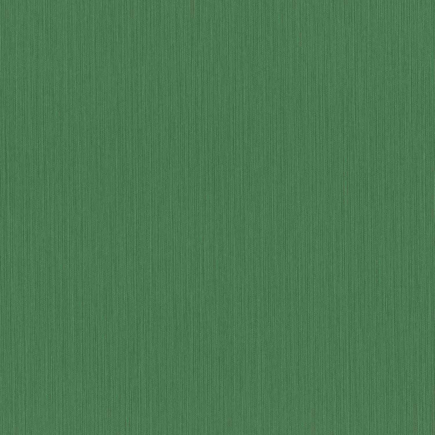 Rasch Curiosity 537673 Carta da parati in tessuto non tessuto Tinta unita 0,53 x 10,05 m Verde