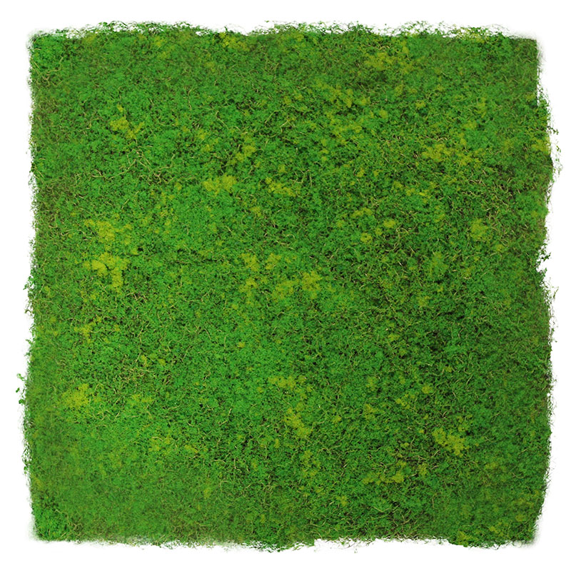 Pannello acustico modulare JANGAL 520 x 520 x 30 mm, parete con design in fibra verde chiaro, muschio e piante