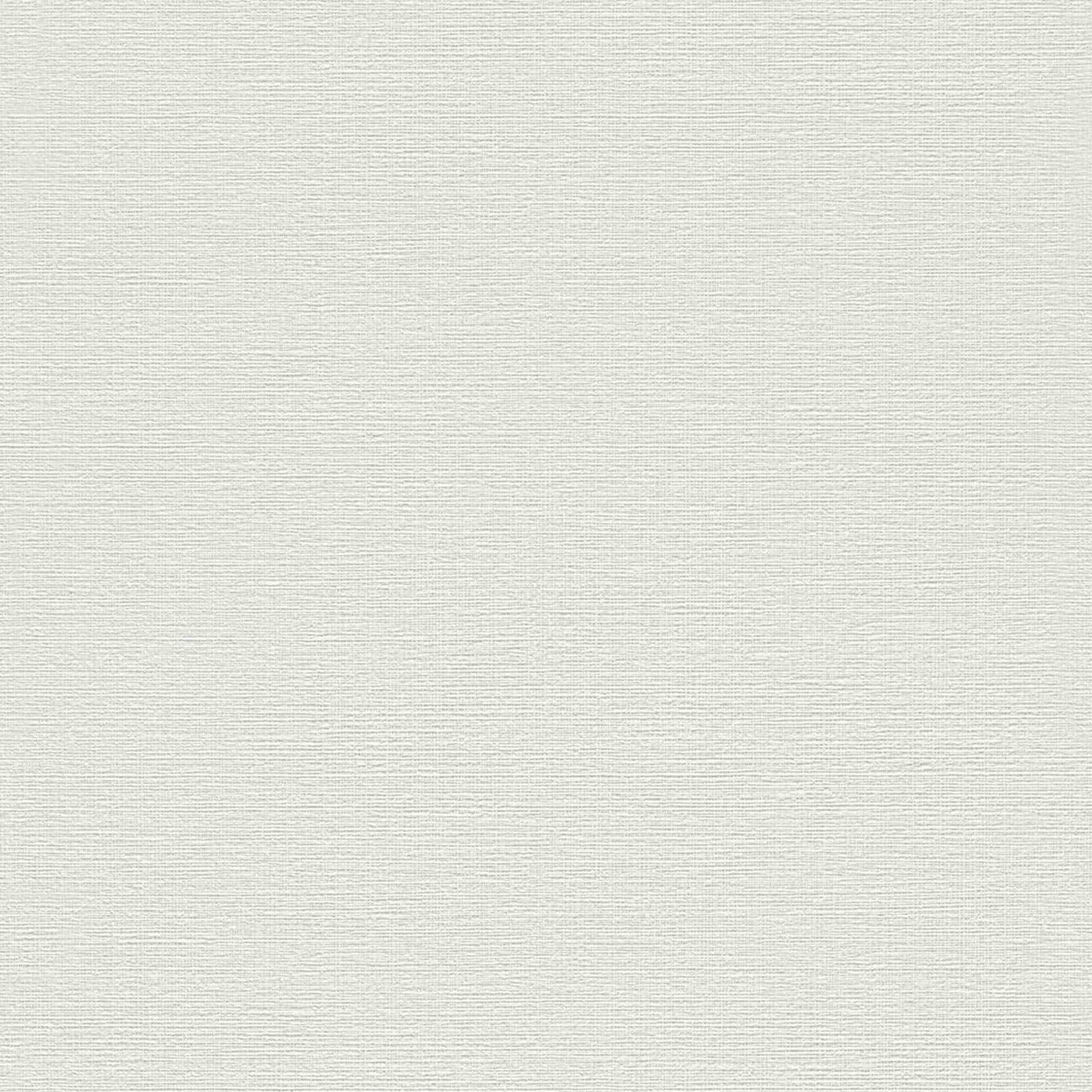 Rasch Our Best 2022 732351 Carta da parati in tessuto non tessuto, tinta unita 0,53 m x 10,05 m Grigio