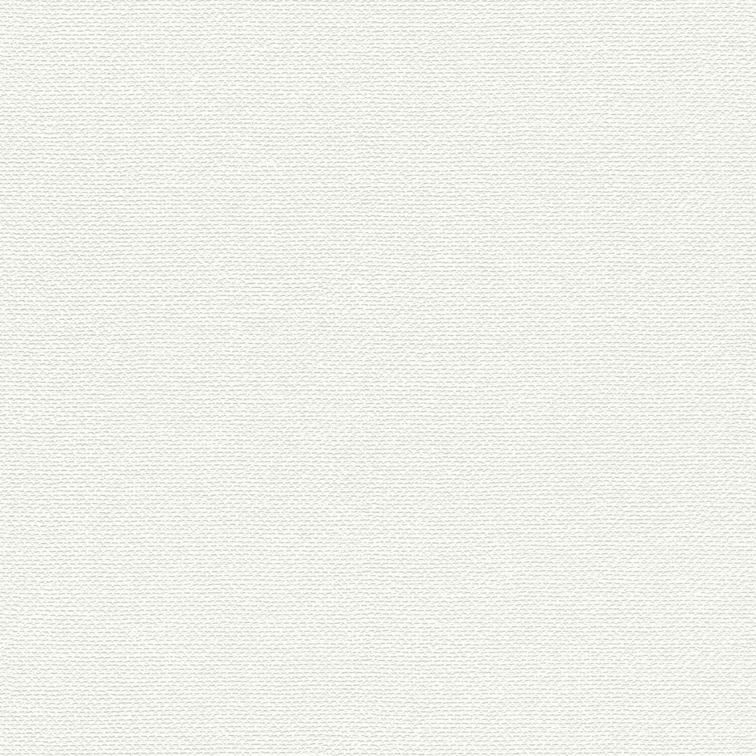 Rasch Color Your Life 312102 Carta da parati in tessuto non tessuto Tinta unita 0,53 x 10,05 m Bianco