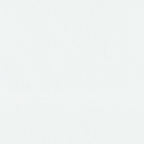 Carta da parati non tessuta 10004-01 tinta unita 0,53 x 10,05 m GMK - Fashion For Walls Erismann