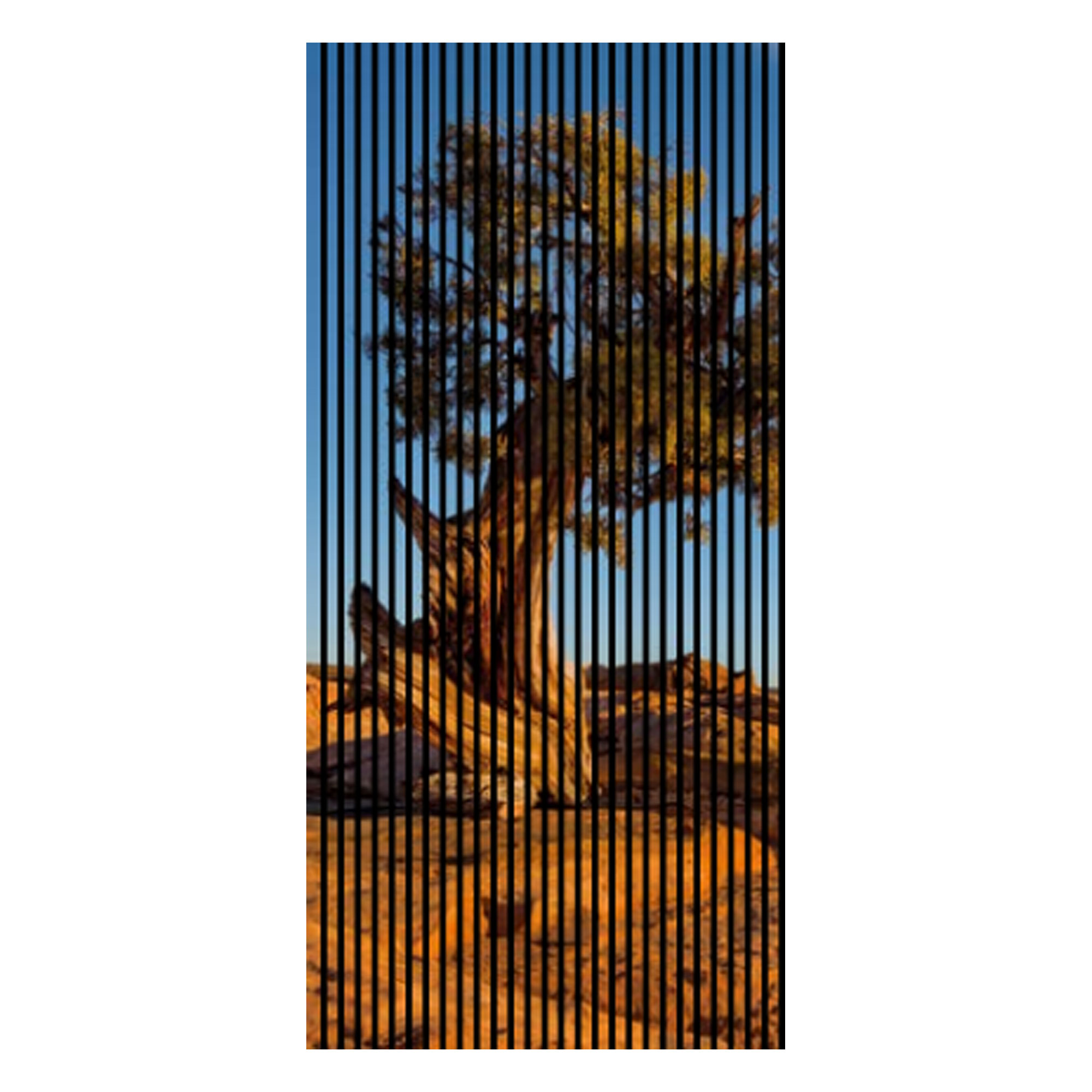 Pannelli acustici con stampa digitale, steppa, albero, cielo, pannelli da parete in blu e marrone, disponibili in varie dimensioni.