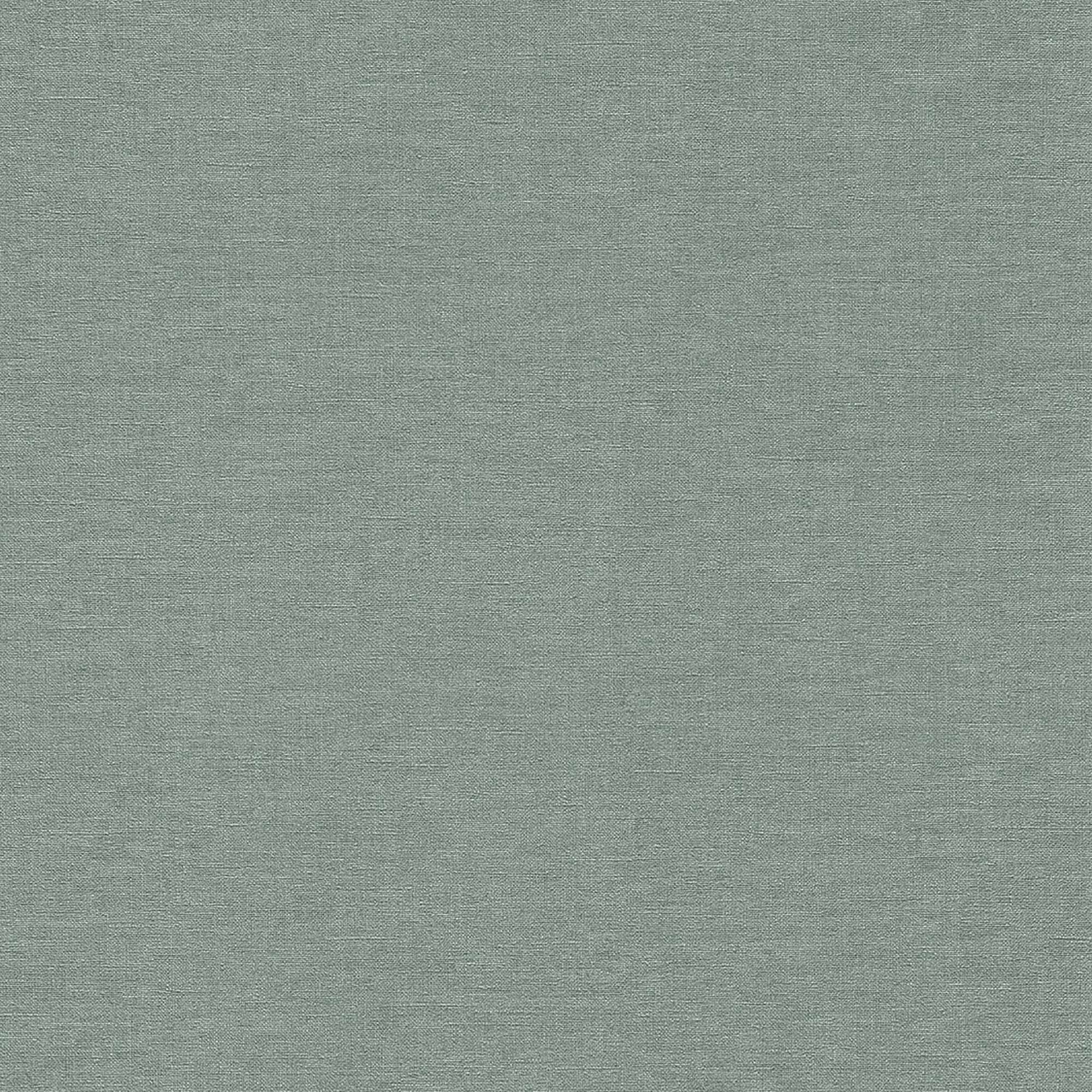 Carta da parati non tessuta 449846 Blue Plain Solid Country Charm Rasch