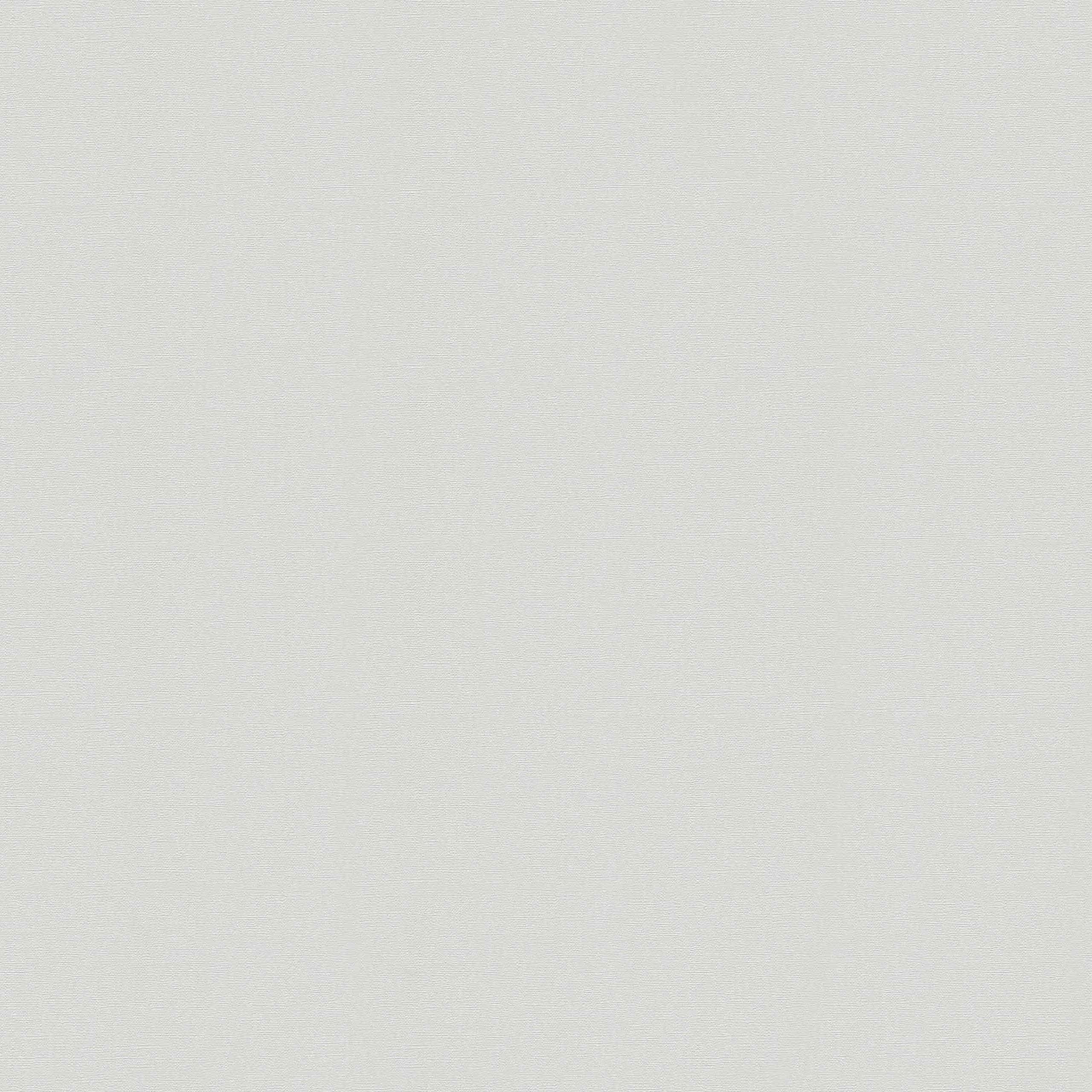 A.S. Creation | Trendwall 2 | Grau | 305267