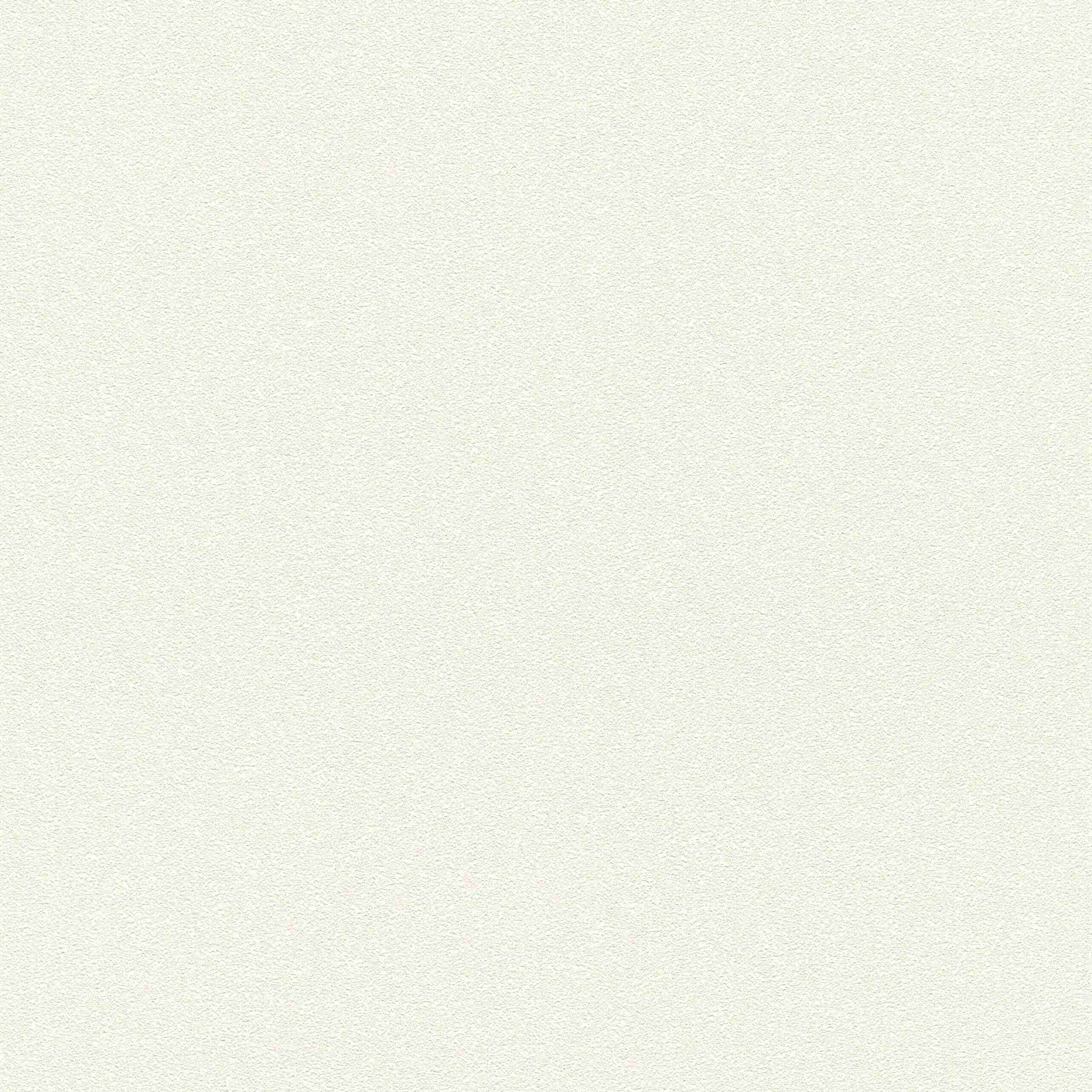Rasch GLAM 530216 Carta da parati in tessuto non tessuto Tinta unita 0,53 x 10,05 m Crema