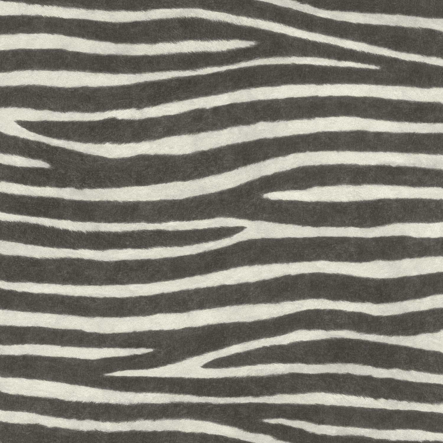 Rasch African Queen III 751727 Carta da parati in tessuto non tessuto Stampa animalier 0,53 x 10,05 m Nero Bianco