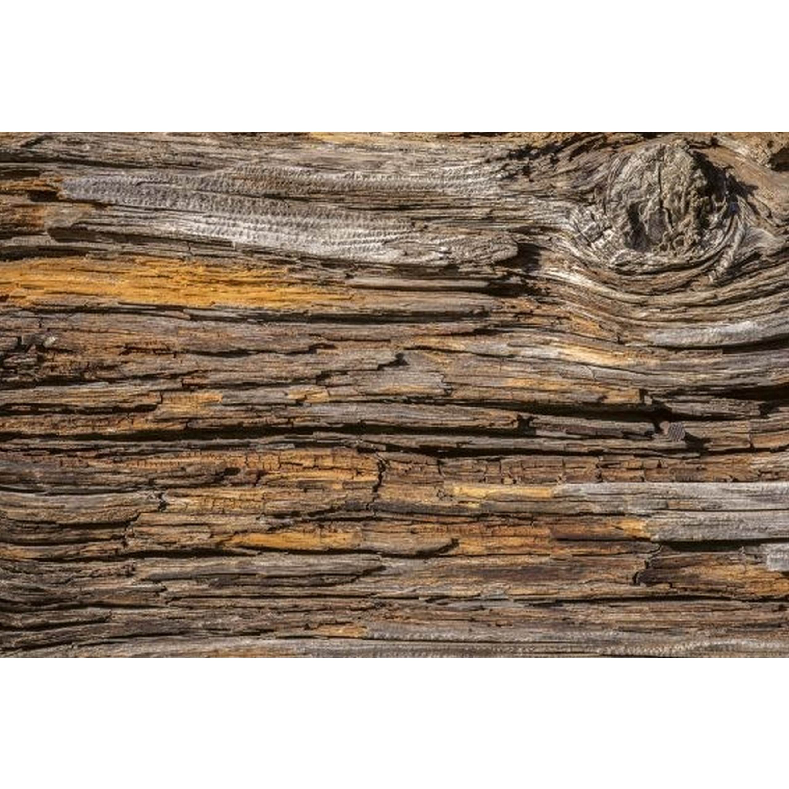 Dimex Linea Dimex MS-2-0159 Carta da parati fotografica Tessuto non tessuto Varie dimensioni Legno Marrone