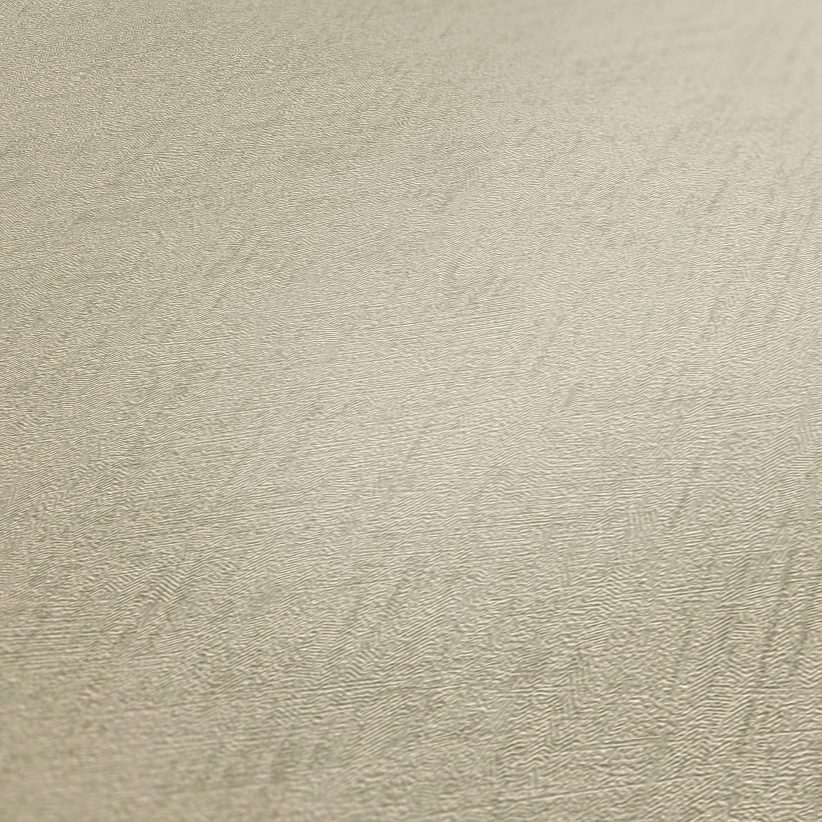 A.S. Creation | Titanium 3     | Beige | 381971