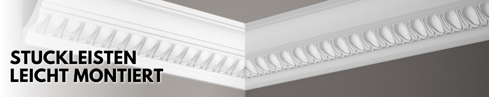 Stuckleisten-Banner_Beschreibung